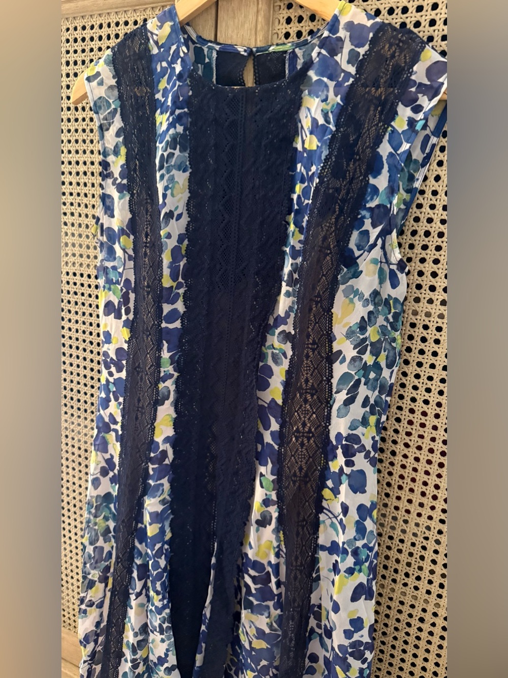 BCBG MaxAzria Floral Navy Lace-Panel Mini Dress
